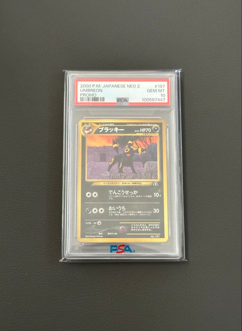 ポケモンカード 旧裏 ブラッキー プレミアムファイル PSA10