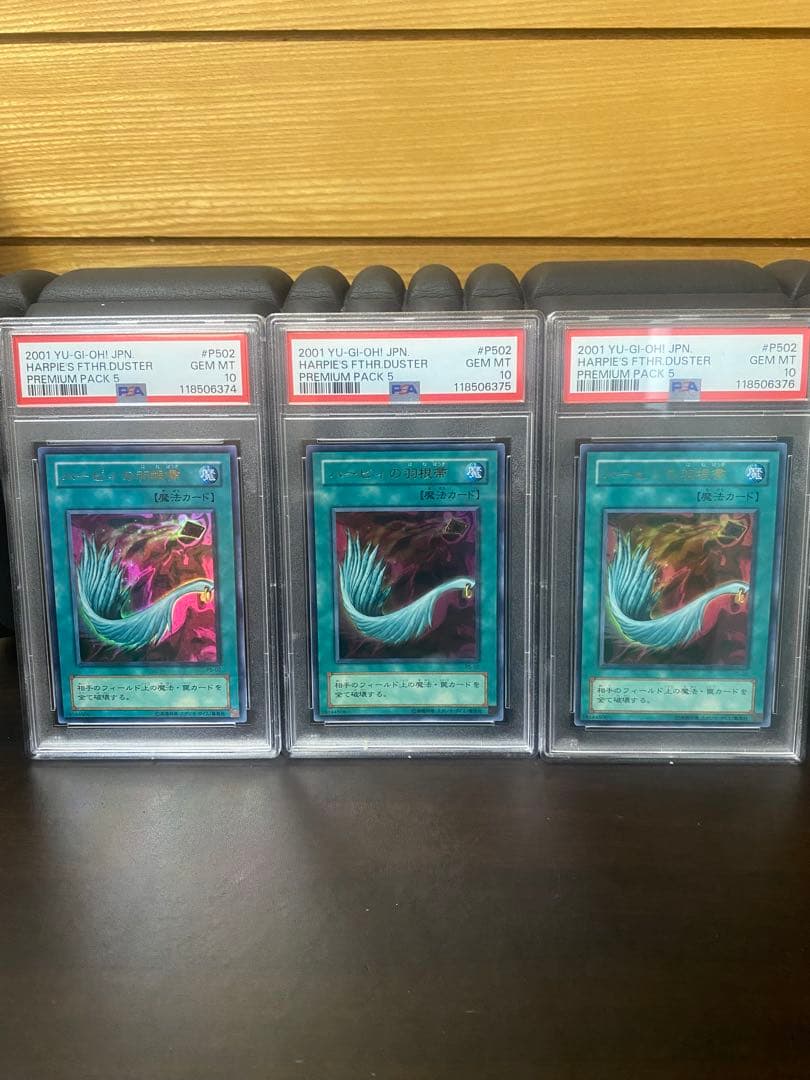 3連番 psa10ハーピィの羽根箒　p5-02