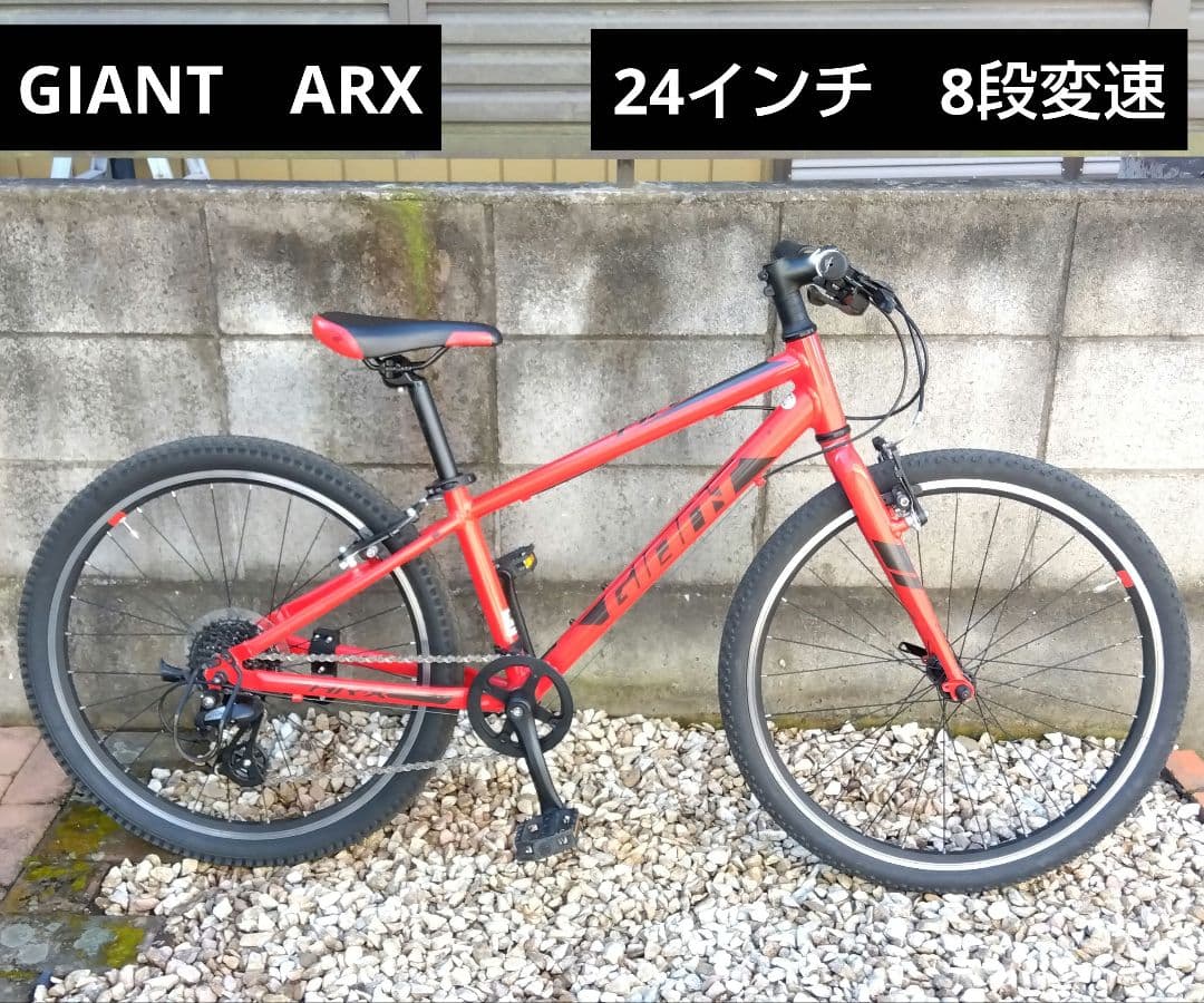 ジュニアクロスバイク　GIANT ARX　24インチ