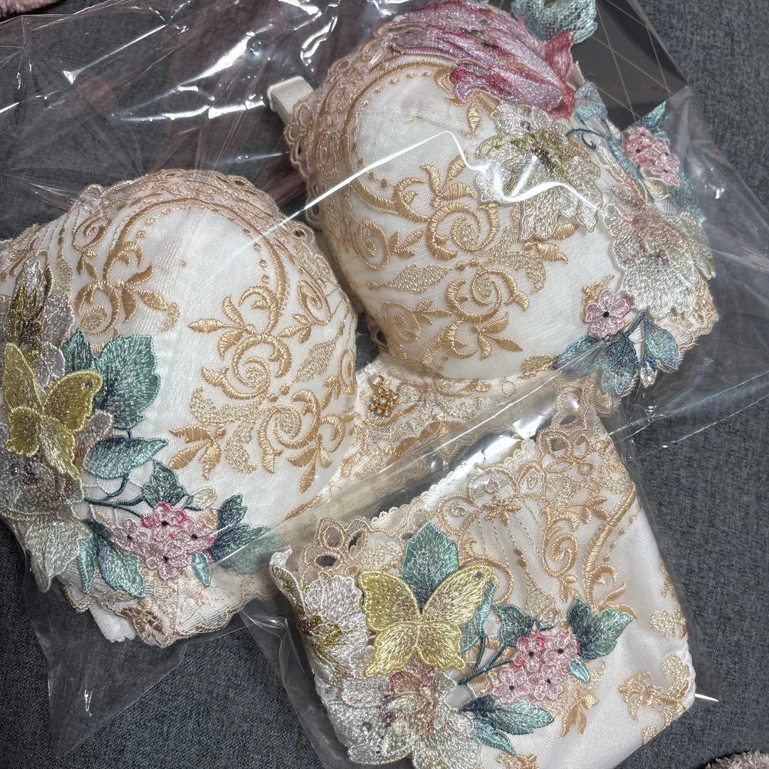 Salute 花柄刺繍 ブラジャーショーツセット E70/M