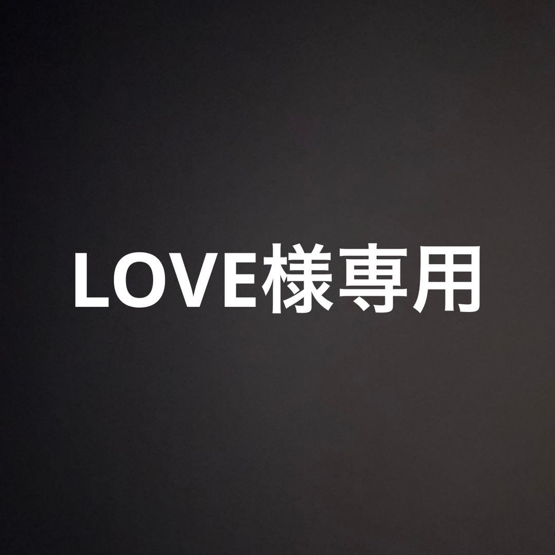 ブランドガーメントケース31点