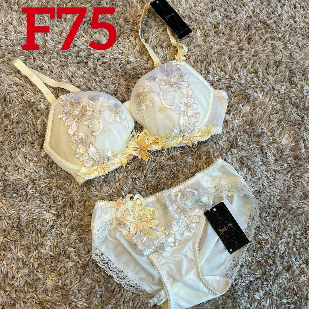 ワコール サルート フロントエックスブラ ブラショーツセット (F75)(M