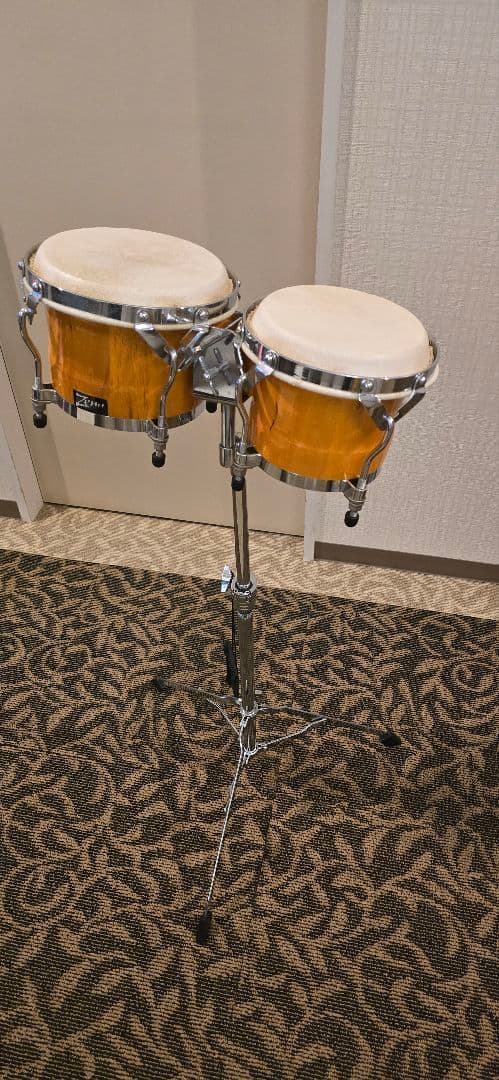 Zenn ボンゴ　ゼン スタンド付き