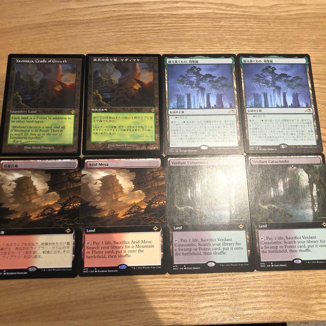 土地8枚セット　耐え抜くもの、母聖樹　ヤヴィマヤ　乾燥台地　新緑の地下墓地 モダン】母聖樹について【ﾍﾞﾙﾁｬｰ】｜アクト