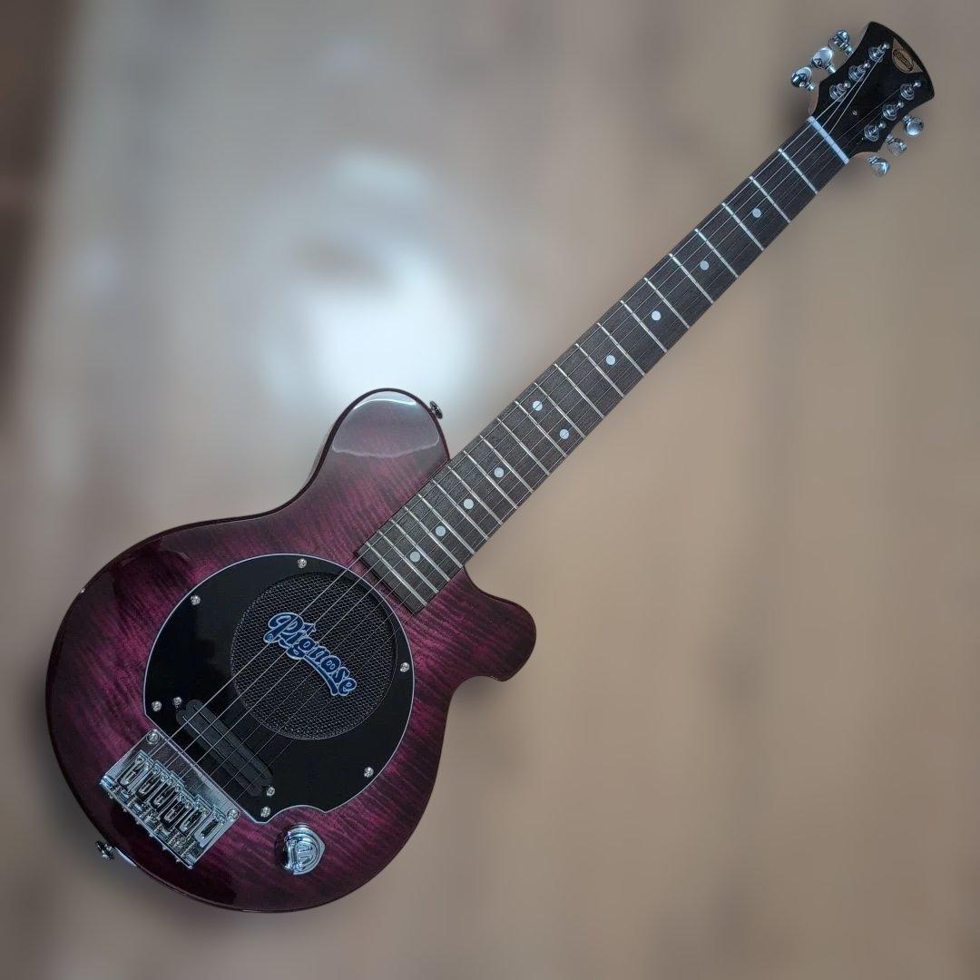 Pignose PGG-200 ピグノーズ アンプ内蔵 美品！