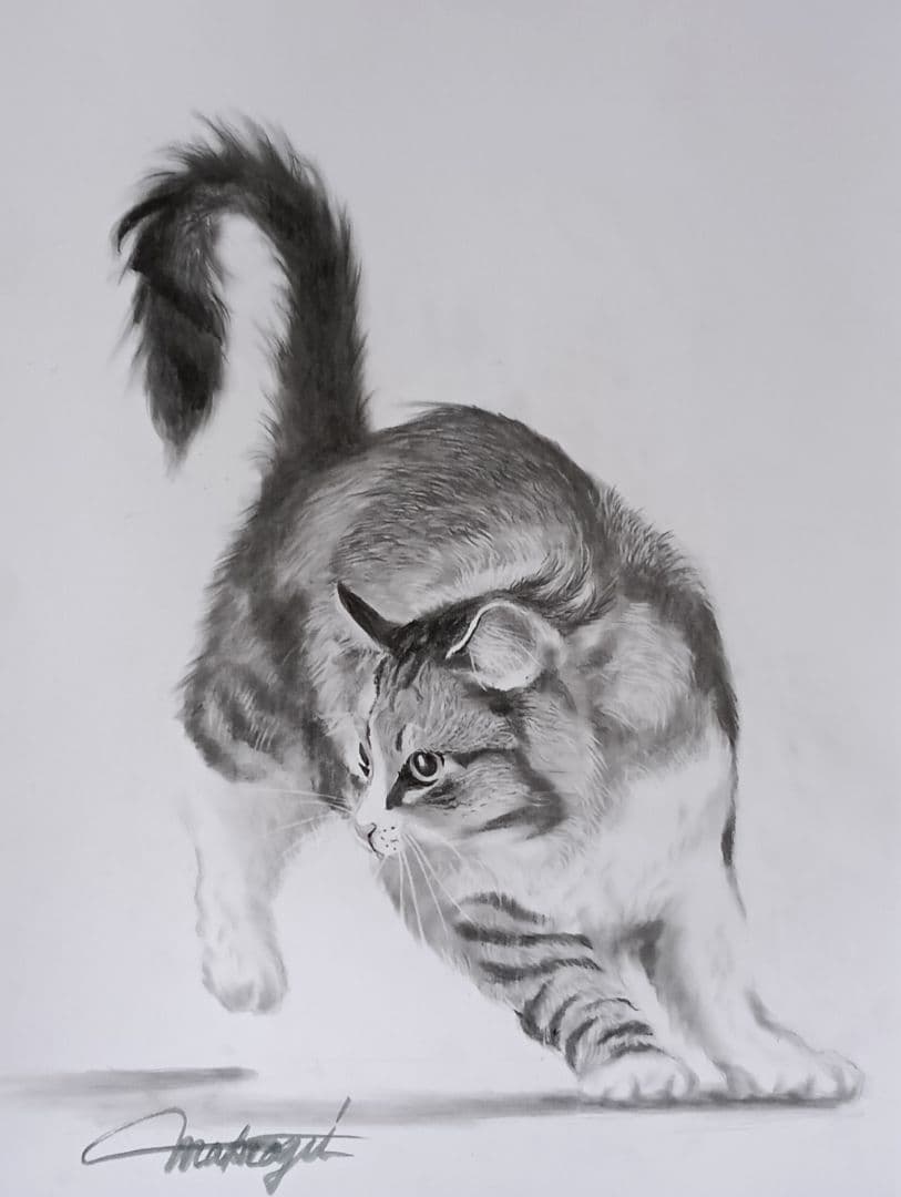 リアルな猫の鉛筆画A3上質ケント