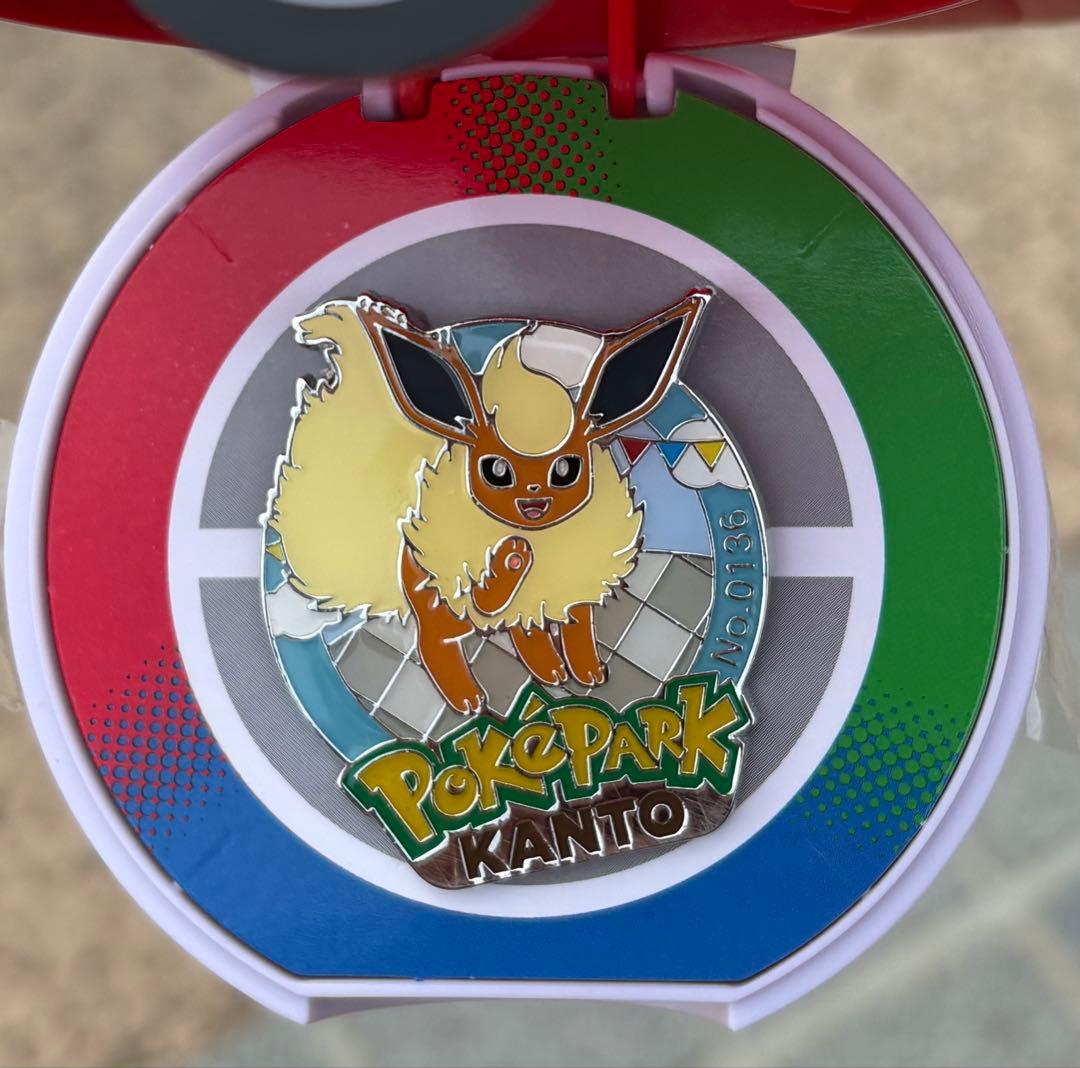 ポケパークカントー ブースター ピンズ ポケモン 限定