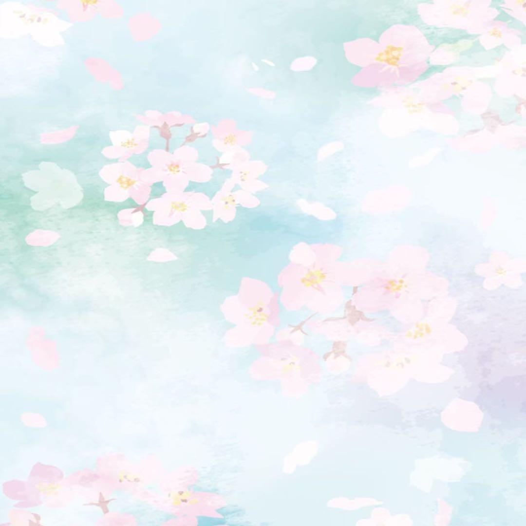 マッコイ　マクセリー パウダーエッセンス