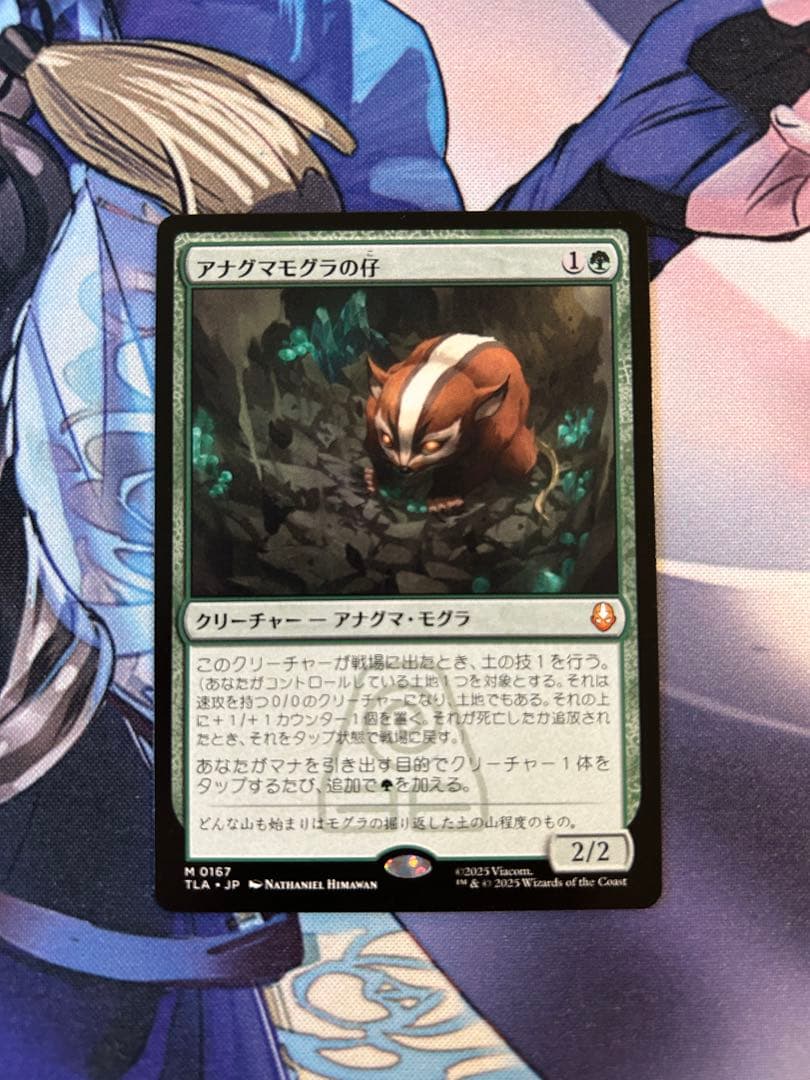 アナグマモグラの仔/Badgermole Cub 日本語 1枚 通常 MTG