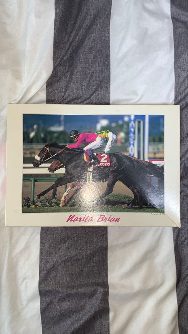 ナリタブライアン　ジグソーパズル　レア品 ナリタブライアン 1,000ピース ジグソーパズル - メルカリ