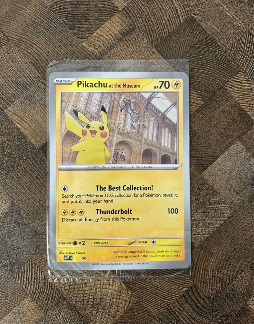 pikachu at the museum 博物館ピカチュウ　ジャンボカード