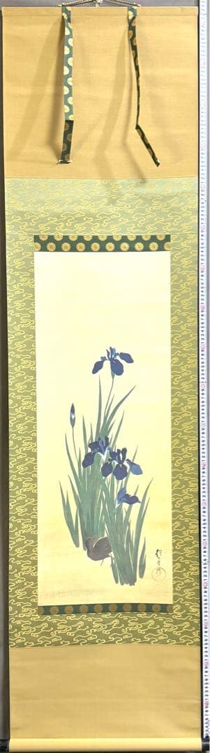 酒井抱一『十二か月花鳥図』五月『燕子花に鷭図』掛軸 復刻版 手彩色