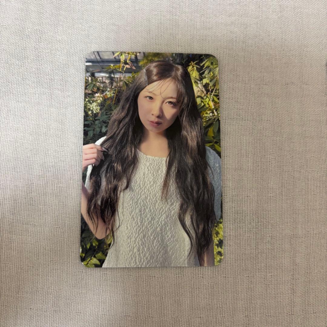 NiziU ミイヒ 愛知、北海道 会場限定フォトカード - メルカリ