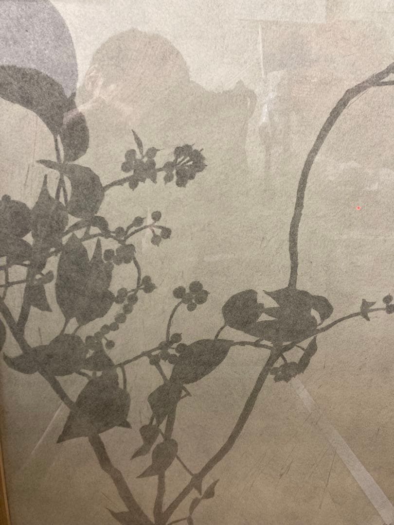 生平桜子　絵画 Sakurako Oidaira 生平 桜子｜IDEE SHOP Online