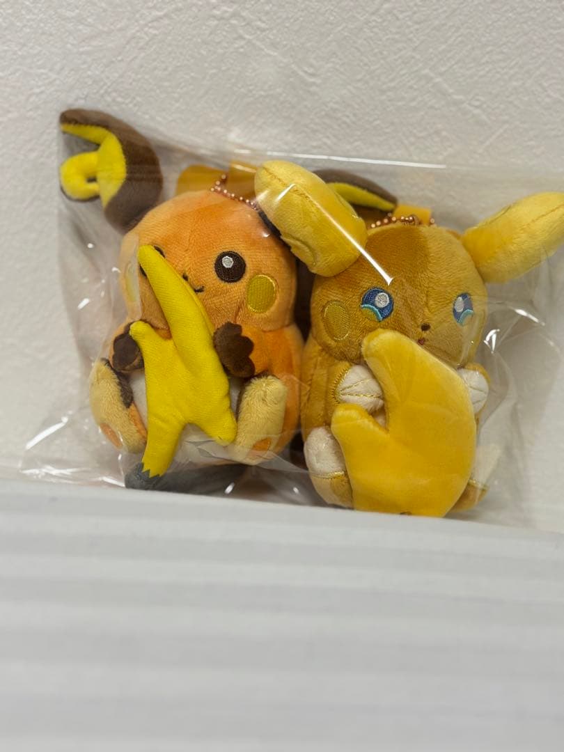 ポケセン　にたものどうしライチュウ