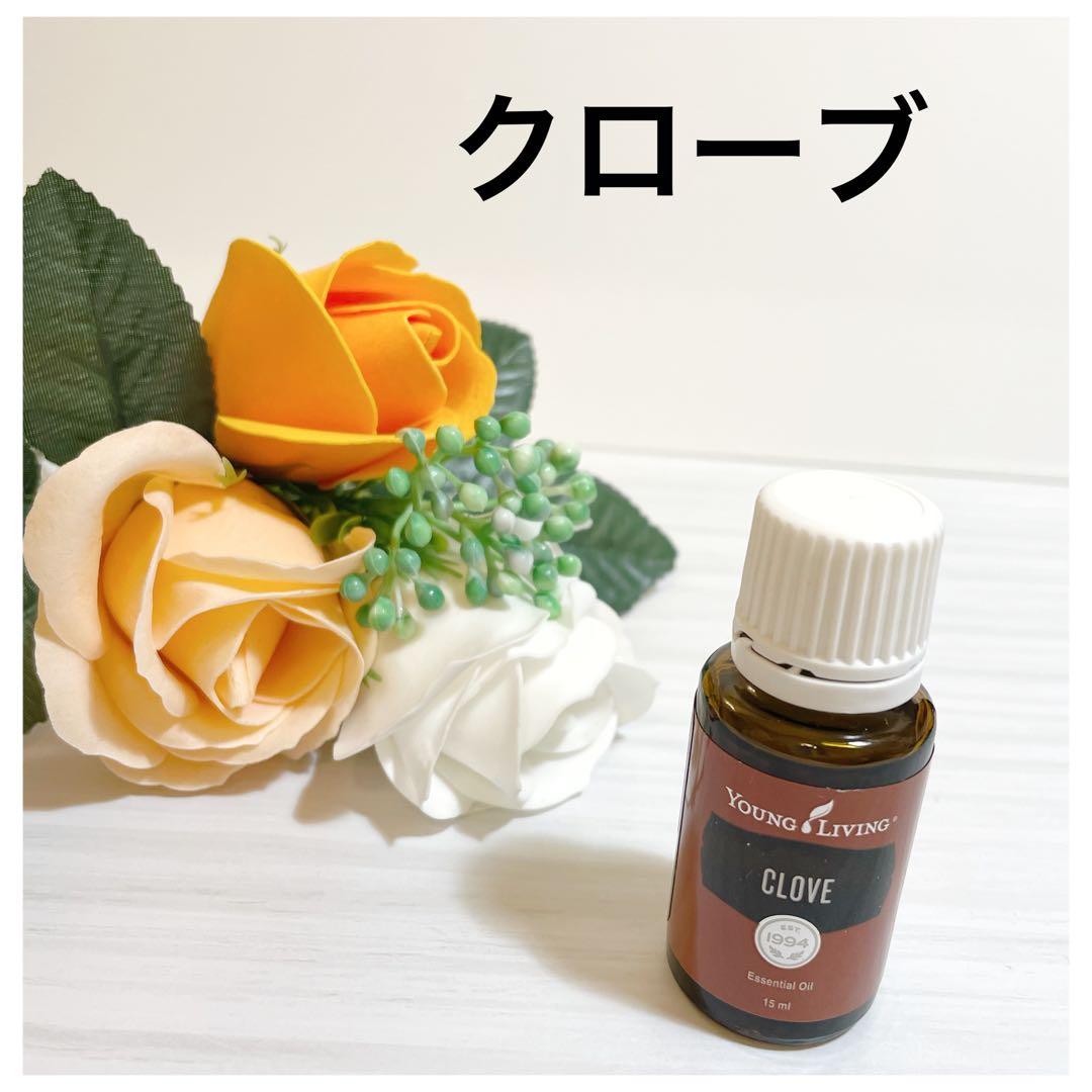 Tomさま　新品　10本セット❣️クローブ　15ml 精油　アロマ　スパイシー