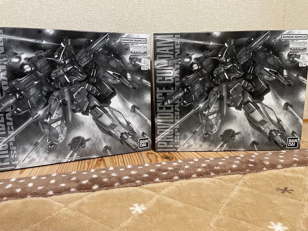 【２個セット】MG プロヴィデンスガンダム[スペシャルコーティング]