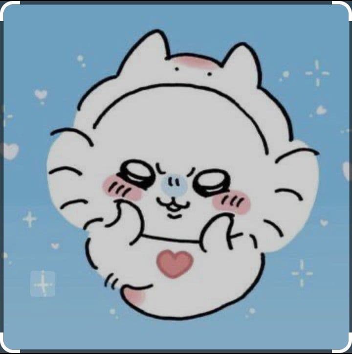 確認4です バイク XAM ザム スプロケット 630-35 シルバー Z1(A.B) 2 トクチュウ