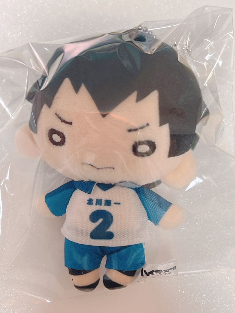 ハイキュー 影山飛雄 にとたん 北川第一 中学