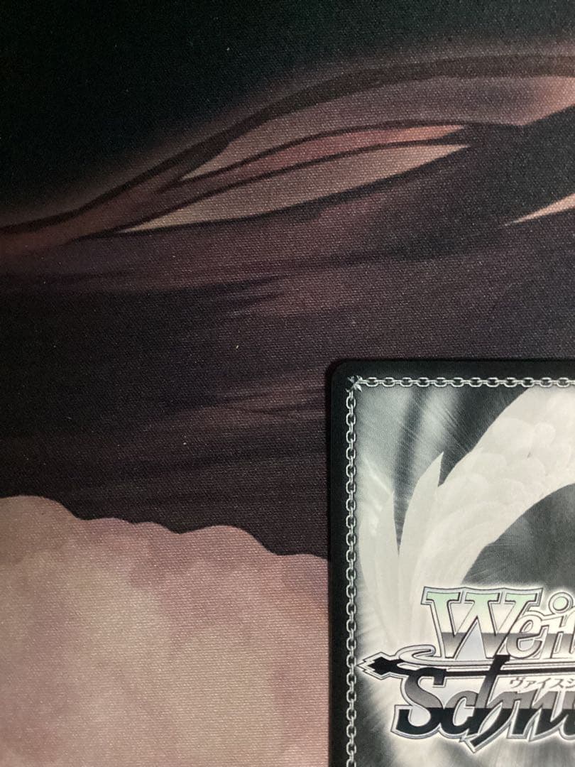 WS “Perdere Omnia” モーティス SP サイン 箔押し - メルカリ