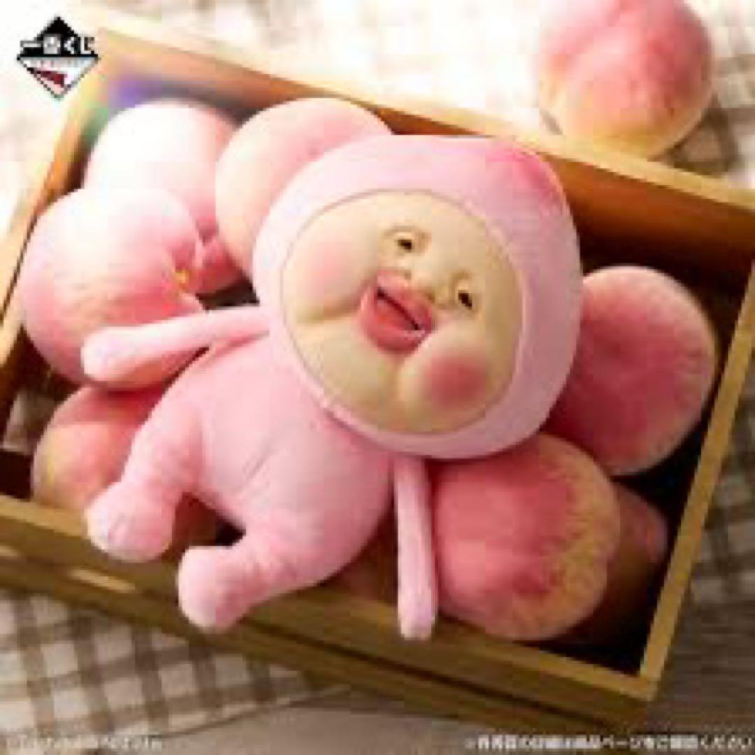 【未開封】一番くじこびとづかん　A賞カクレモモジリ 一番くじ こびとづかん｜一番くじ倶楽部｜BANDAI SPIRITS公式 一番くじ