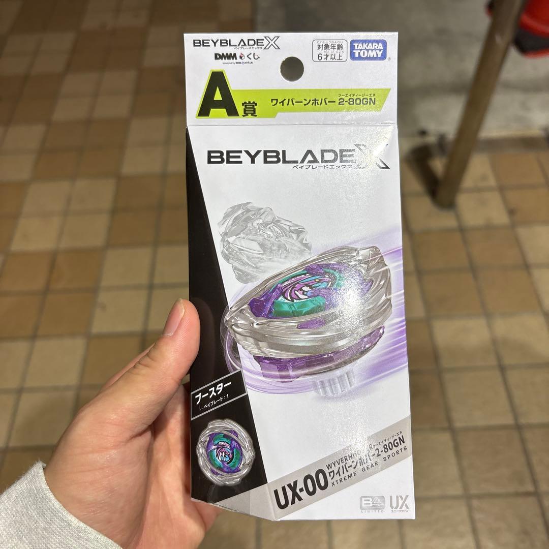 ワイバーンホバー 2-80GN