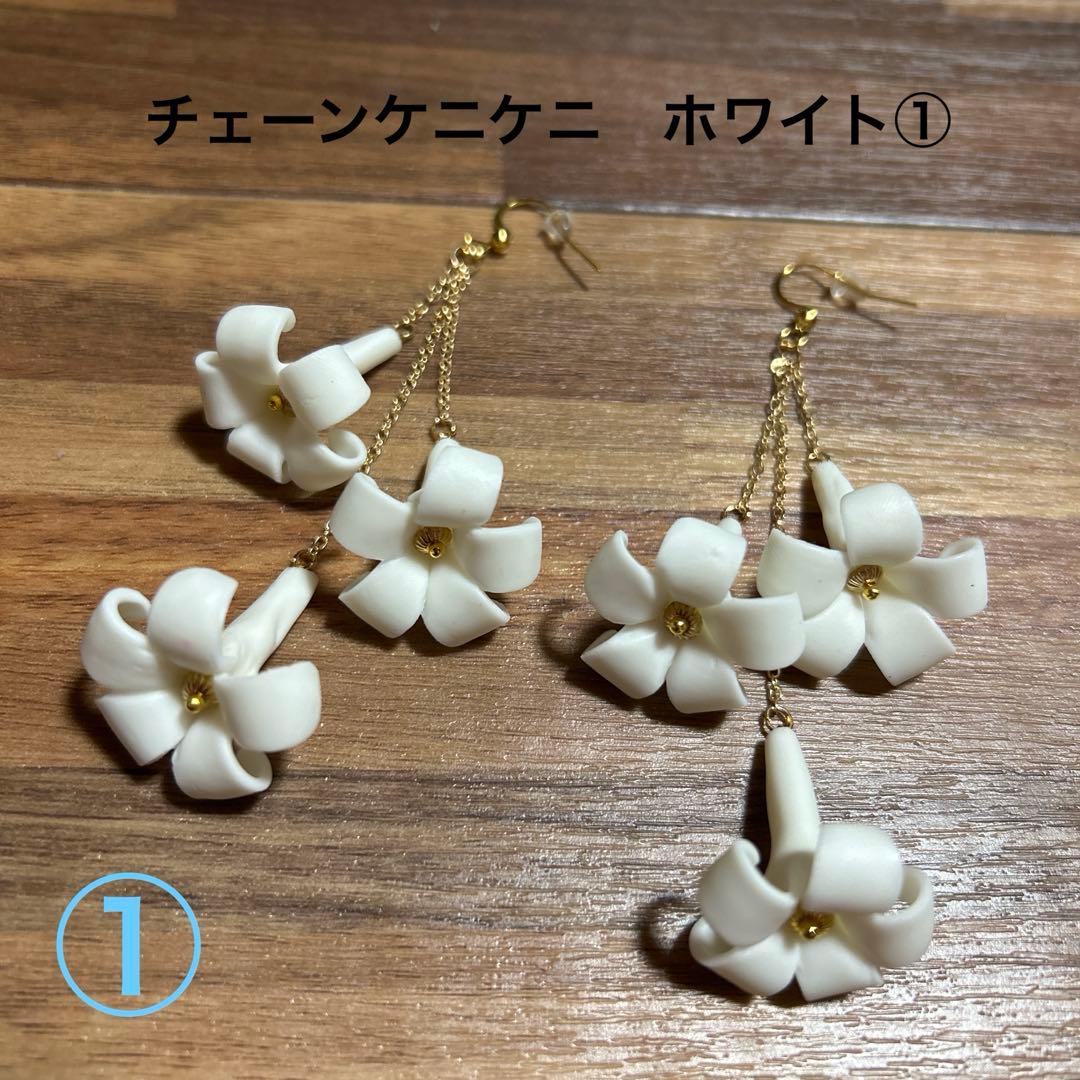 【ピカケページ】Hawaii・プアケニケニピアス・4セット