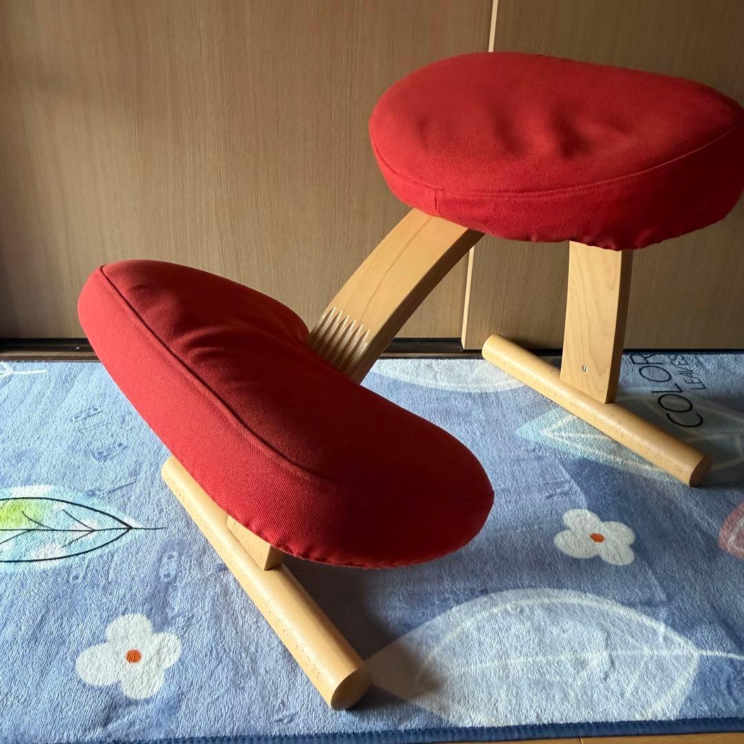 Rybo リボ バランスイージー バランスチェア 通常フレーム カバー付き