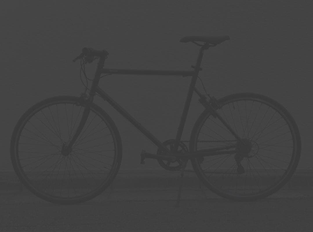 【kyanaさま専用】