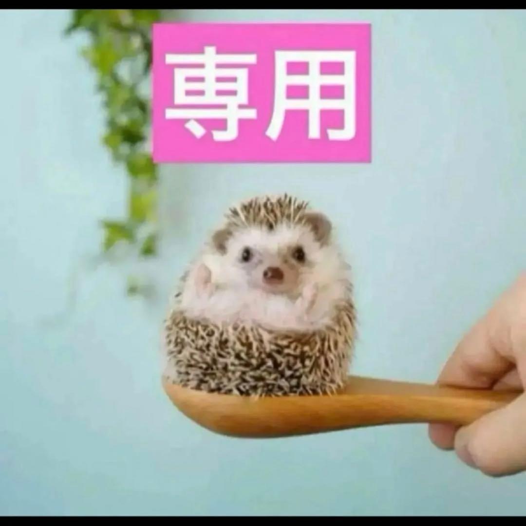 2点、ニュイ、アンテグラール Men's Skechers, Slip-ins: Hillcrest 2.0 Hiking Shoe ‐ Peltz Shoes