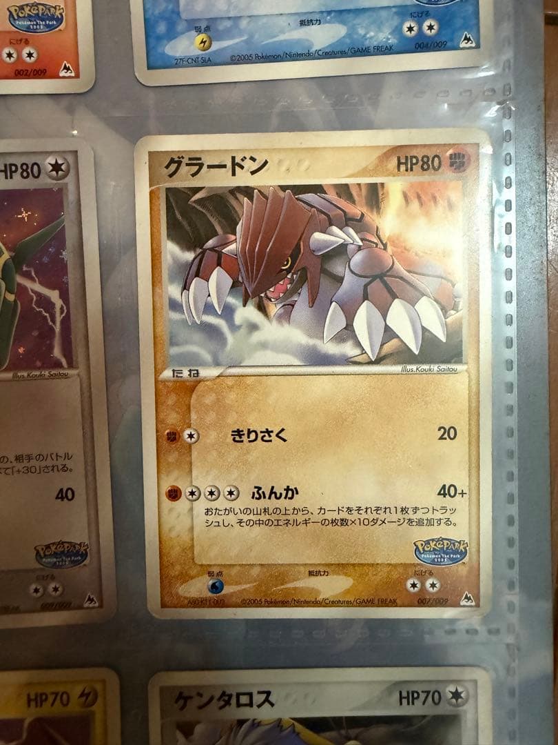 ポケパーク 2005限定 プレミアムファイル 9枚収録 - メルカリ