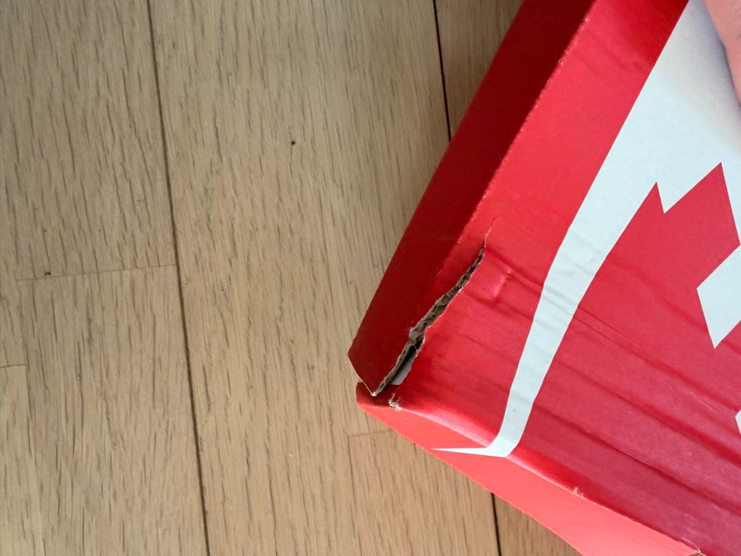 靴 NIKE AIRMAX95 PRNT 29.0cm