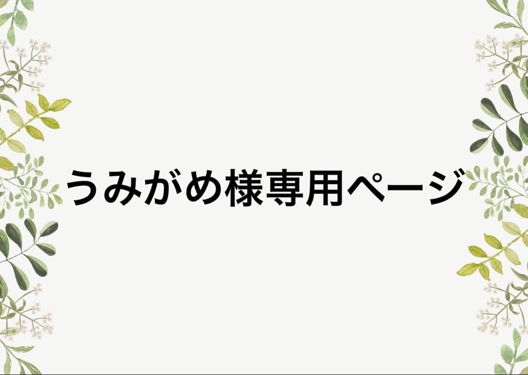 うみがめページ ウミガメの生態 - NPO法人 屋久島うみがめ館