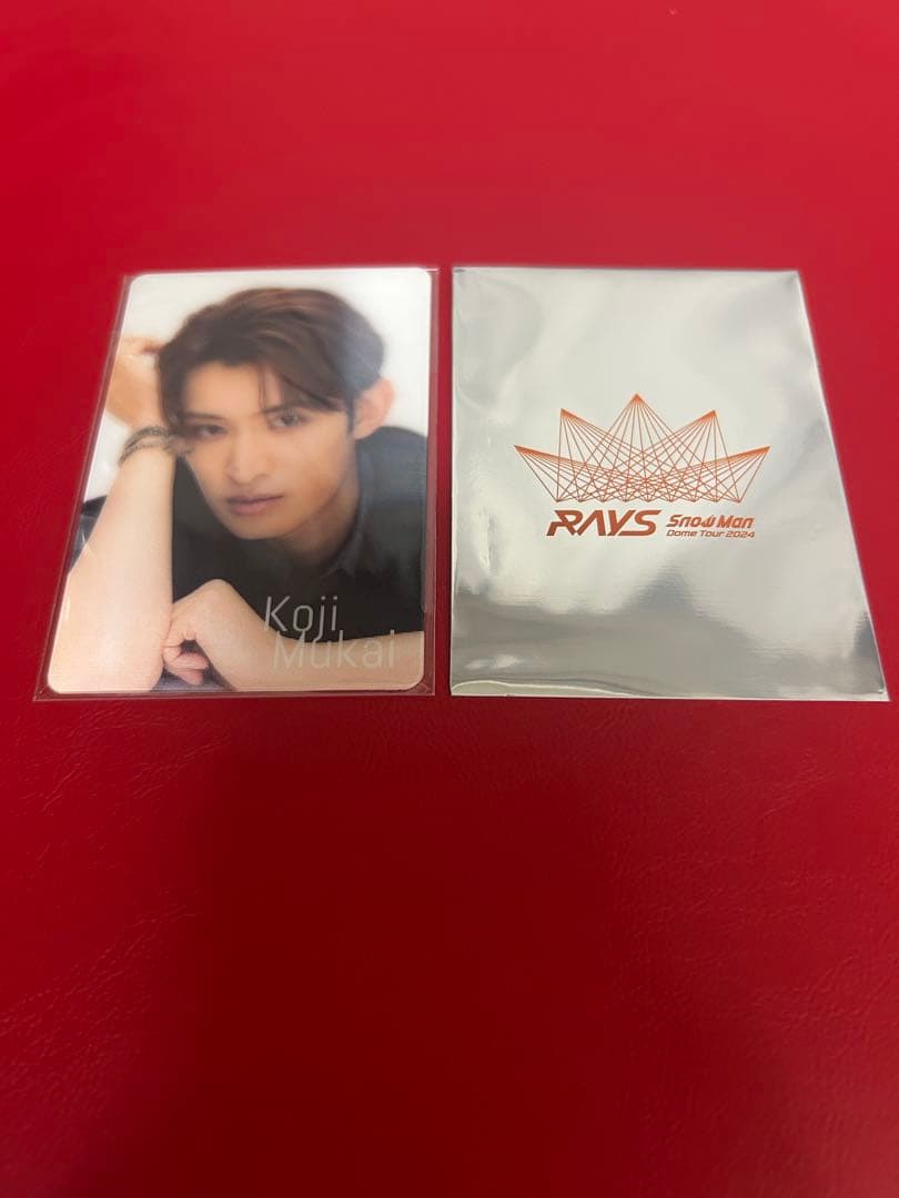 向井康二 Snow Word チラ見カード、Raysカード - メルカリ