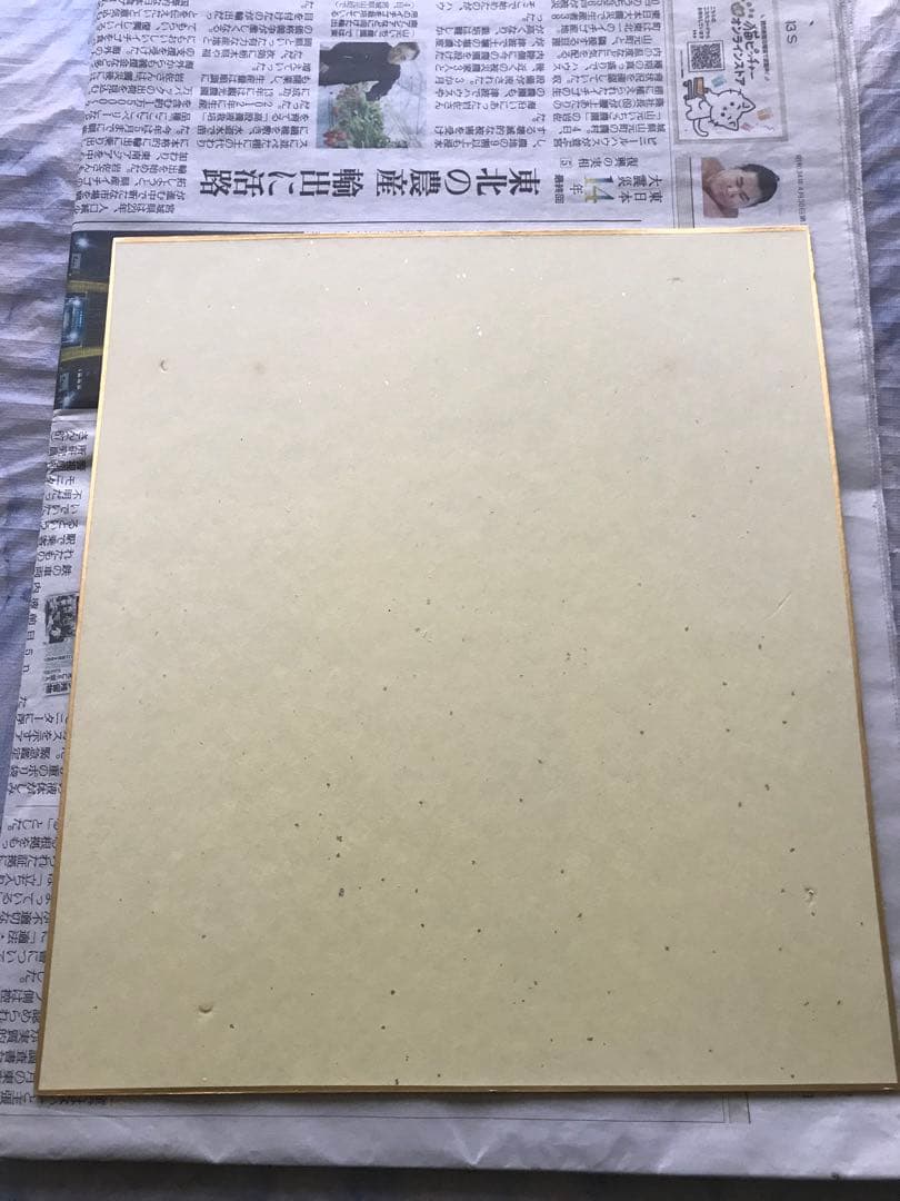 若木民喜直筆 神のみぞ知るセカイ中川かのんイラストサイン入り色紙
