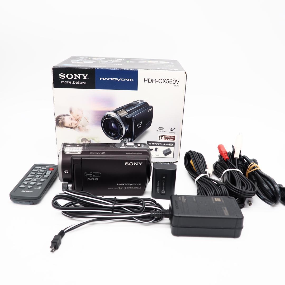 Sony ソニー ハンディカム HDR-CX560V ブラウン