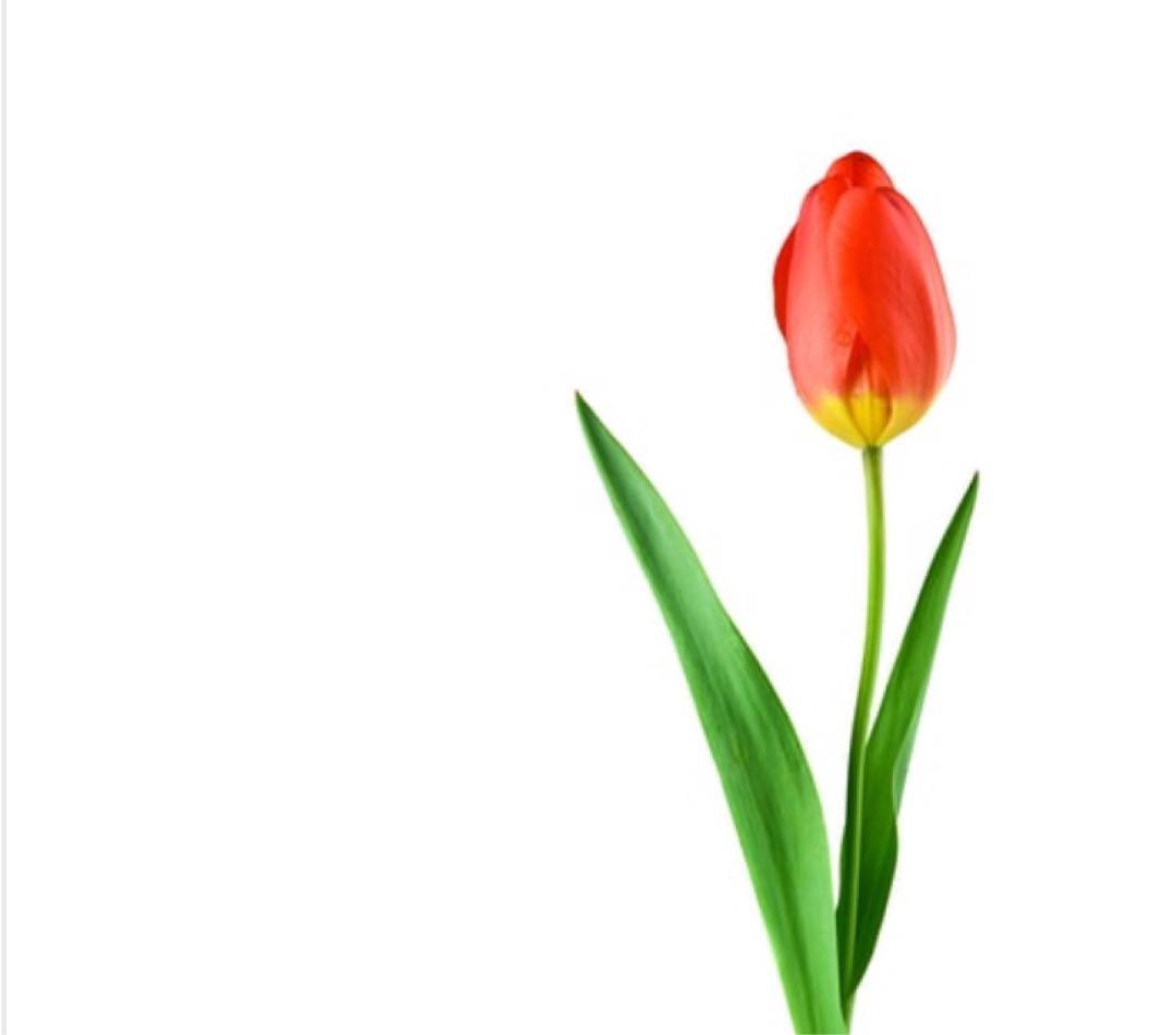 美容液 micchi 250