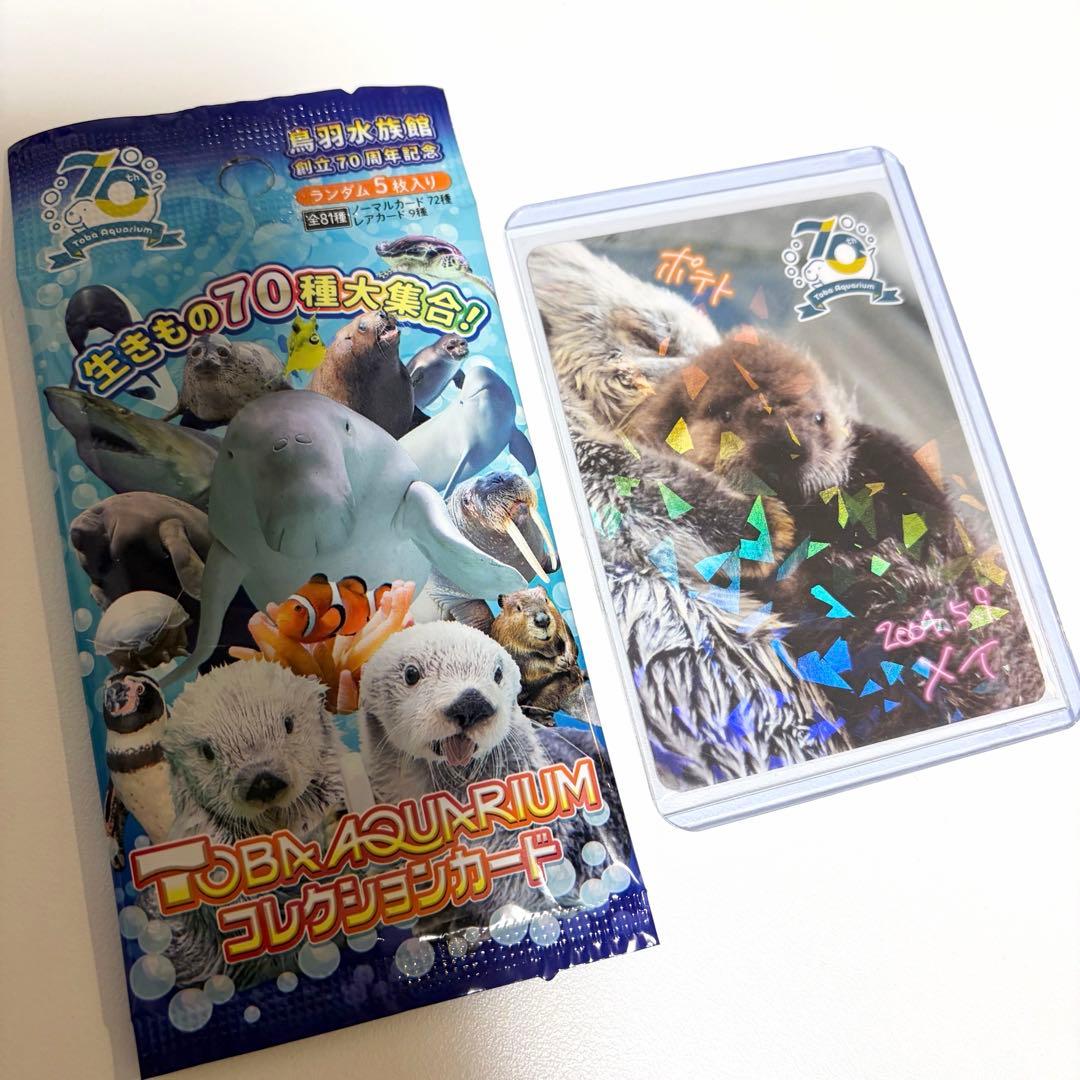 鳥羽水族館　コレクションカード　メイ　ポテト