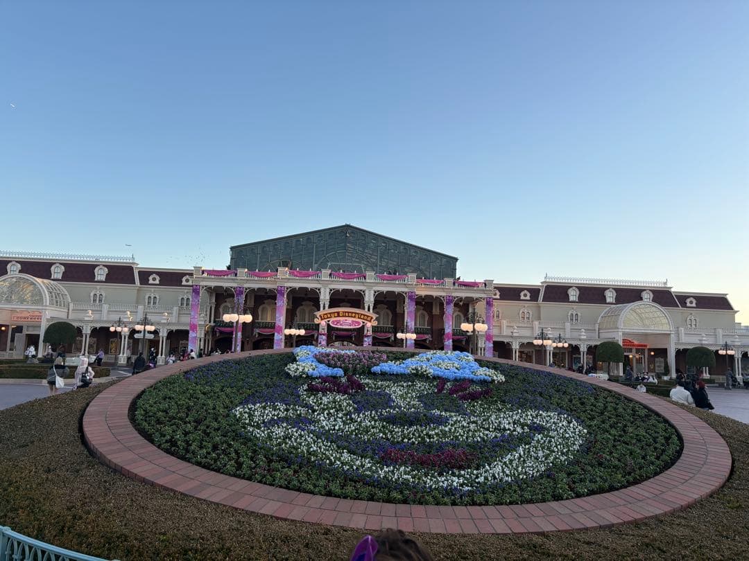 東京ディズニーリゾート　アナと雪の女王　トートバッグ　アナ　エルサ　アナ雪 アナ雪の戴冠式ドレス柄のアイテム発売。アナとエルサのトートバッグや