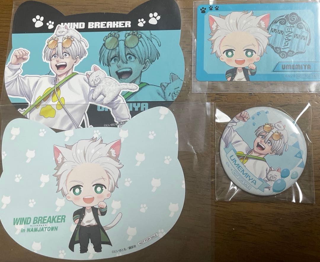 WIND BREAKER 梅宮 ナンジャタウン 缶バッジ 特典