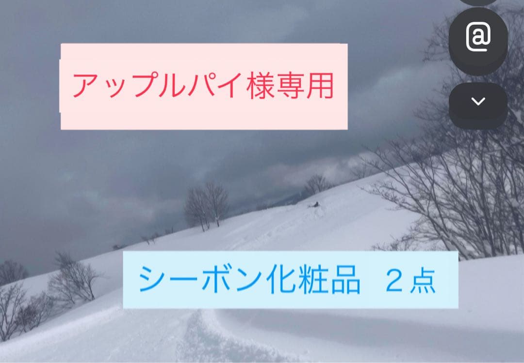 シーボン化粧品 2点 アップルパイ専用 ホールアップルパイ（21cm・冷凍） | オンラインショップ富士屋ホテル