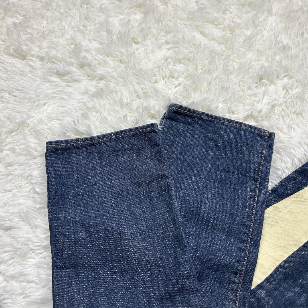 エヴィスドンナ デニム 白ペンキ ビッグカモメ グッドコンディション