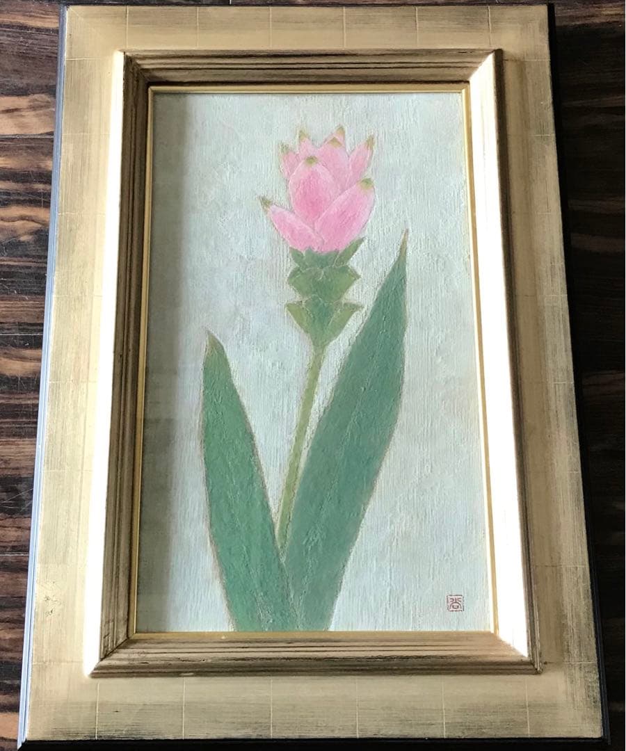 今泉尚樹「クルクマ」日本画 額装 M8 師:大藪雅孝 絵画 C