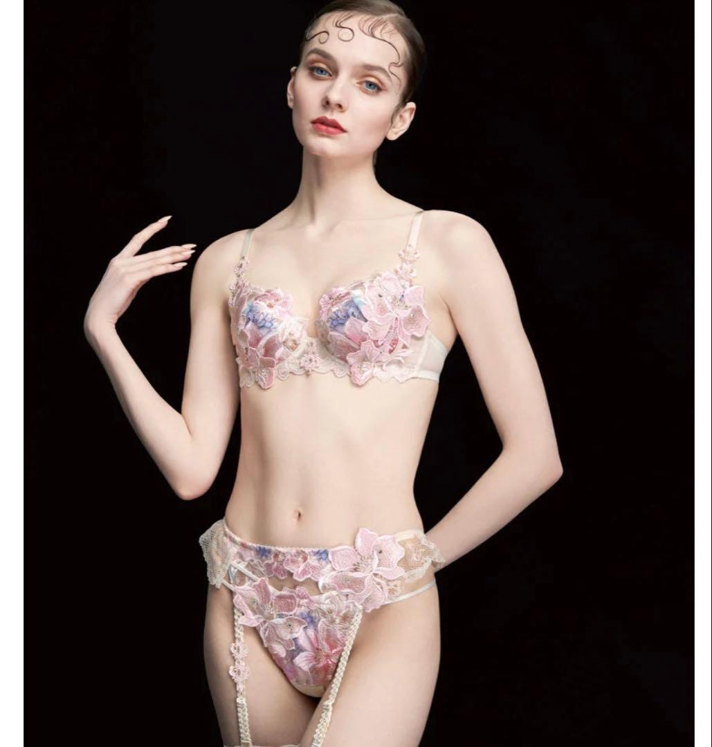 【新品】サルート29G 限定コレクション ブラジャー ショーツ E65 BE