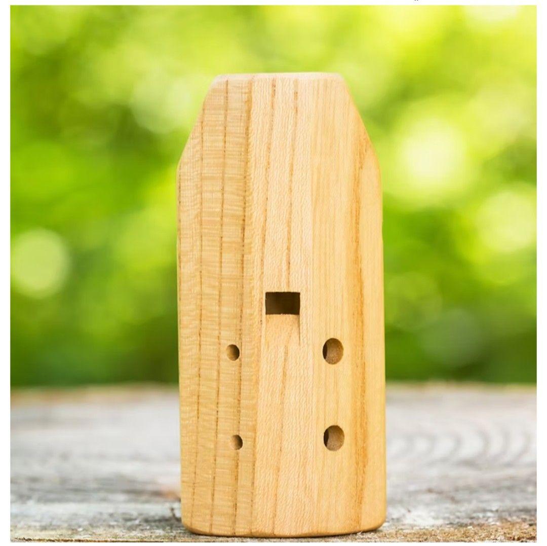 樹音 森のオカリナ 笛 【くるみ】 商品紹介！】歴長めが、クルミ1年生を紹介します｜森のオカリナ樹音