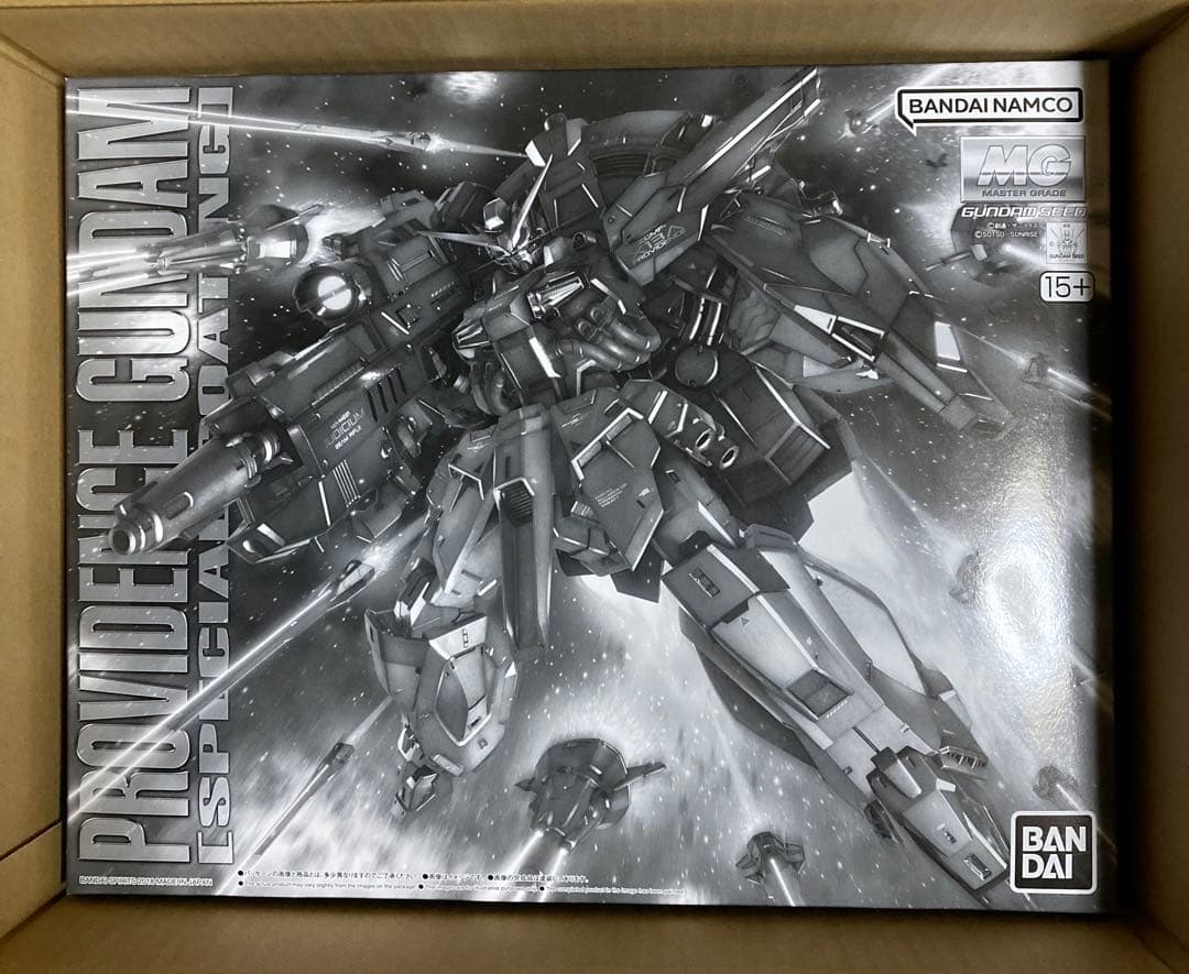 R*N様 MG 1/100 プロヴィデンスガンダム [スペシャルコーティング]