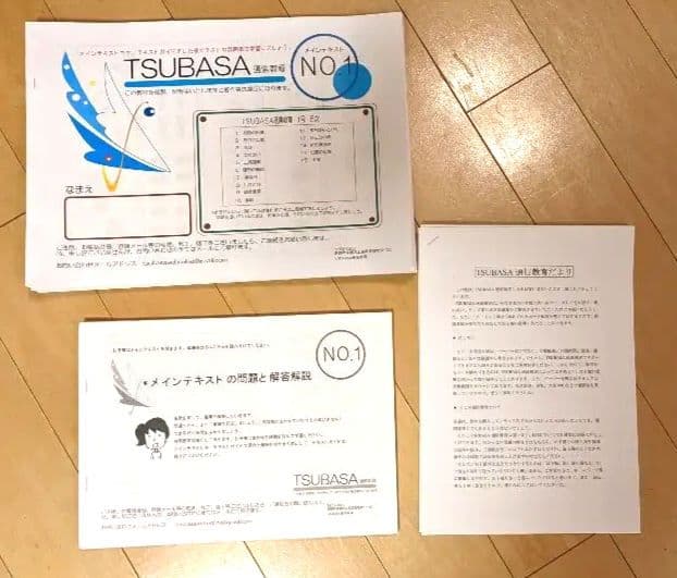 【書込み無】TSUBASA通信教育1-10号セット・単元別集中特訓【小学校受験】 書込み無】TSUBASA通信教育1-10号セット・単元別集中特訓【小学校受験】