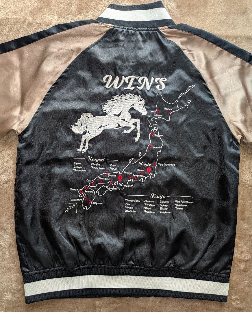 WINS 馬刺繍 スカジャン WINS 馬刺繍 スカジャン 2026年最新】jra スカジャンの人気アイテム