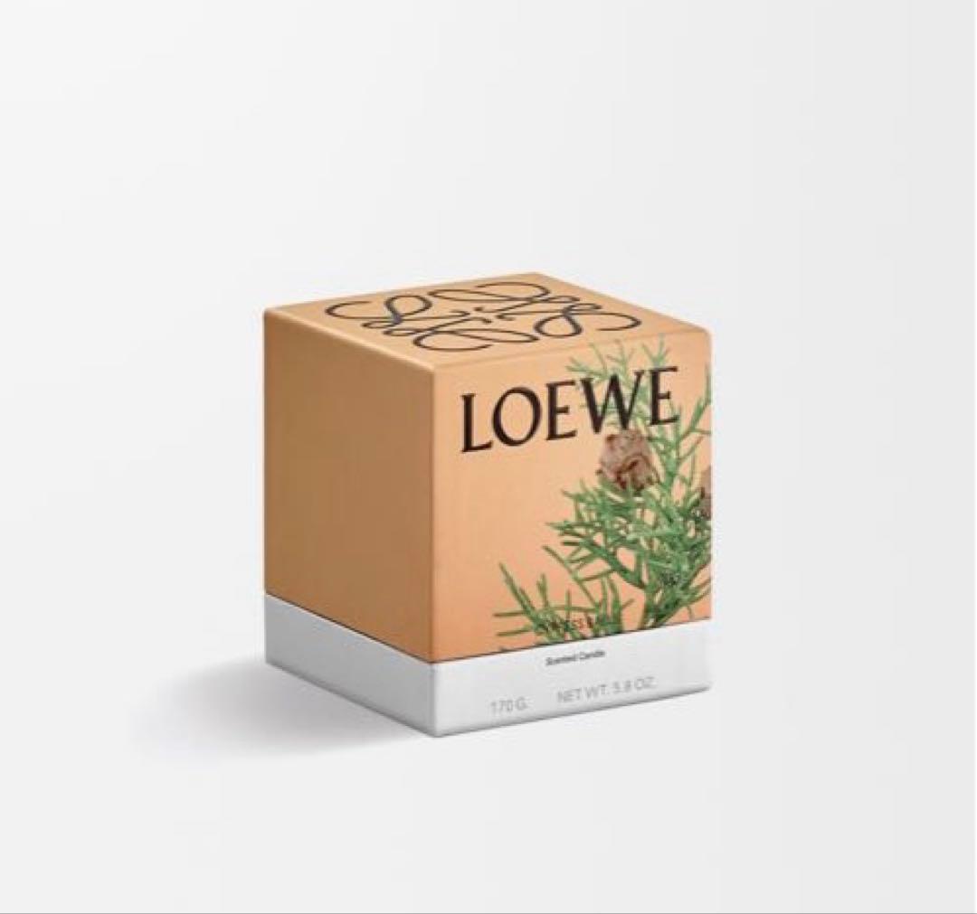(*読様 LOEWE サイプレスボール キャンドル スモール 170g