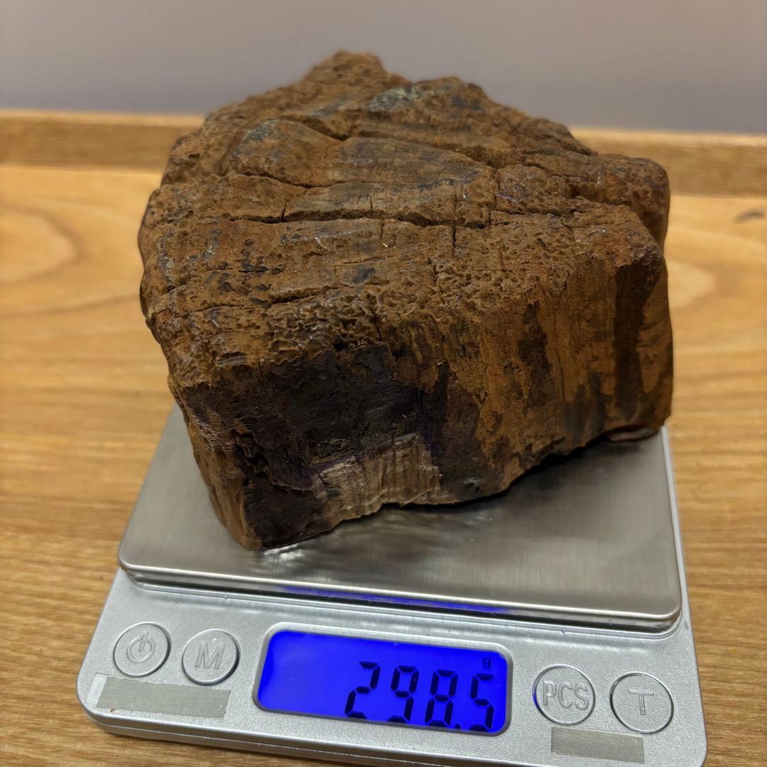 古代天然香木　沈香原木298.5g 茶道具タニシャム沈香伽羅聞香 香道具ベトナム